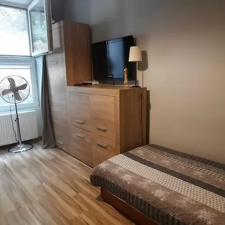 Topola1 * クラクフ